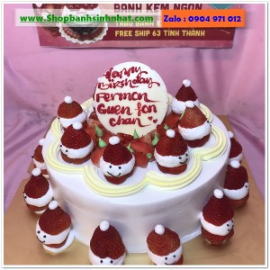 Bánh Sinh Nhật Đẹp - TK193